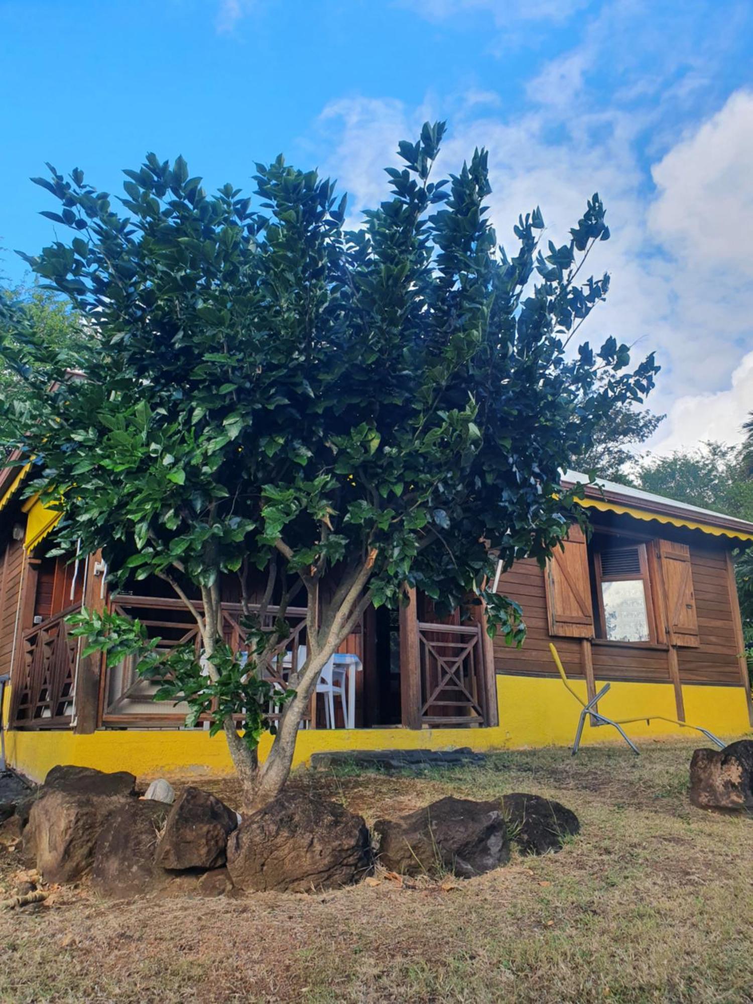 Cottage La Pointe Marine ديساي المظهر الخارجي الصورة